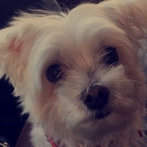 Meet your Posher, Natalija